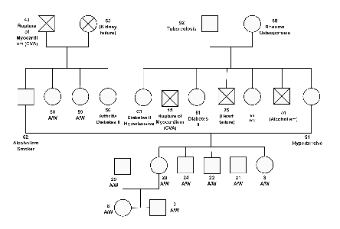 Family Health History Genogram Template