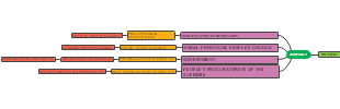 Governance Structures: From Commune Committees to Presidential Assemblies