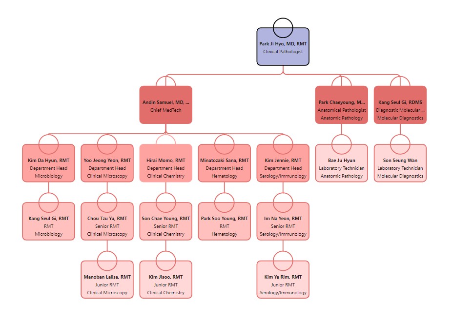Org Chart Of The Hospital