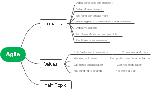 Agile: Integrating Core Values and Domains for Enhanced Performance