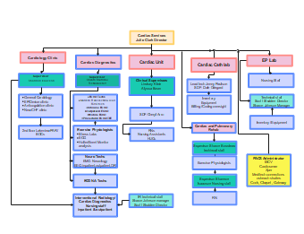St. luke's Cardiac Services Workflow