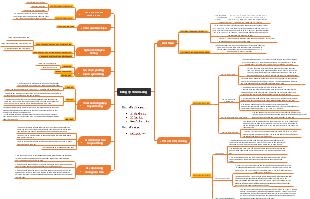 The company's mind map