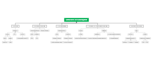 Carbohydrate metabolism