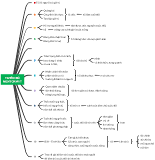 Tuyển Bộ Mentor Wit