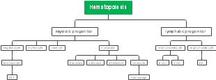 A mind map of hematopoiesis