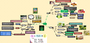 Chemistry Lesson 37 Content