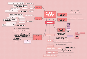 Studying intrauterine development until birth