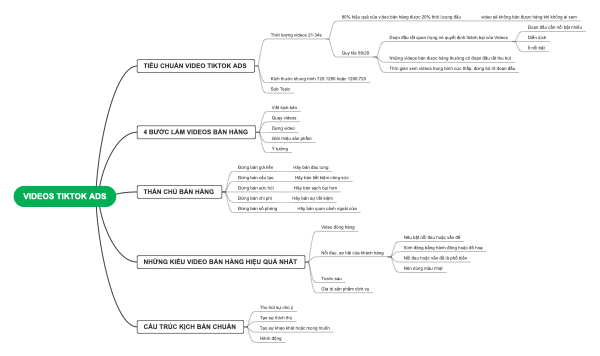 Phân Tích Chiến Lược Video TikTok Ads