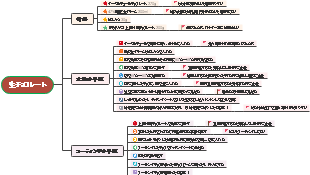 生チョコレート