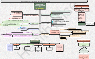 ENTREVISTA PSICOPATOLÓGICA EM SETE PASSOS