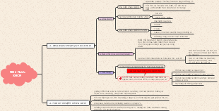  Socialist State Structure