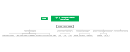 Agency and Program Services
