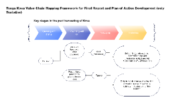 Tonga Kava Value Chain Mapping Framework for Final Report