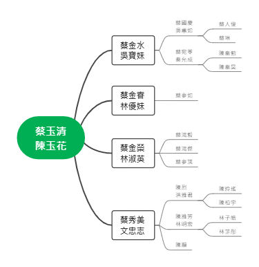 蔡玉清、陈玉花家族人物关系