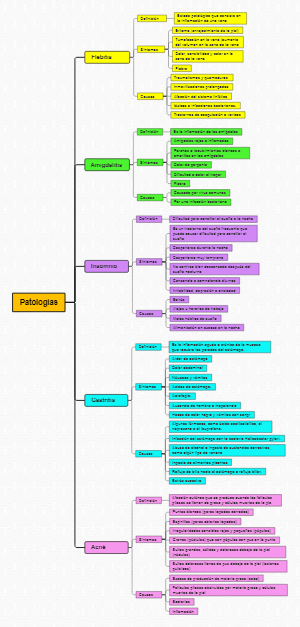 Mind mapping in pathology