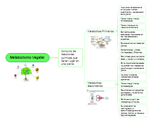 Mind Map Of Planet Metabolism