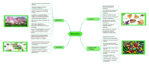 Mind Map Of Metabolites