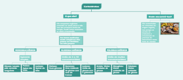 Carboidratos: Definição, Classificação e Fontes Alimentares