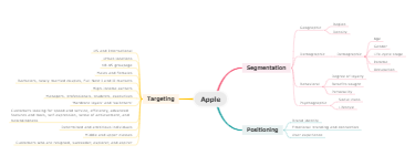 Apple -Segmentation, targeting, and positioning