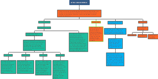 enfoque ecosistemico 