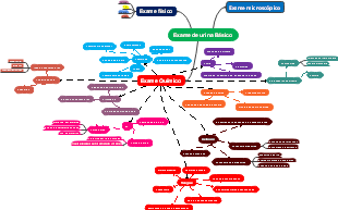 Exame de urina Básico