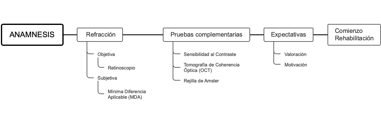 "Proceso de Anamnesis（病史采集流程）"