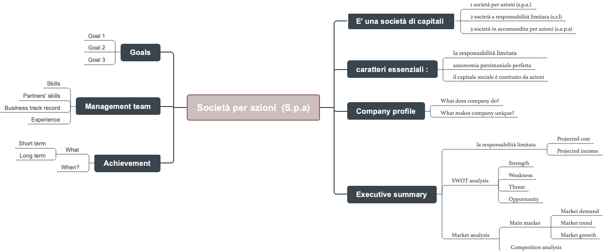 Società per Azioni (S.p.a.): Caratteri Essenziali e Profilo Aziendale