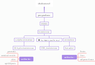 A mind map of cholesterol