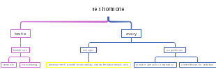 Mind Map Of Sex Hormone