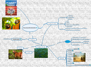 EDUCAÇÃO FINANCEIRA