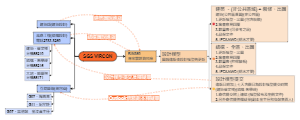 SGS VIRCON——项目流程与协作指南