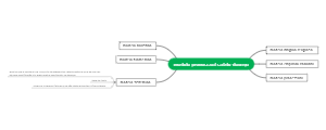 Health disease process model