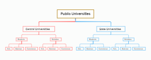 Exploring Academic Divisions Within Public Universities