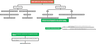 Dual Principles of Social Justice