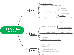 Mind map for Mini onboarding training