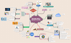 A mind map of CMR in service enterprises