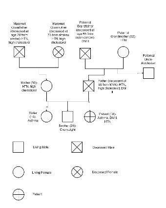 Family Health History Pedigree Chart Template