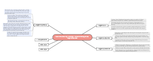 Mind Map Of SME Social Responsibilities And Obligations