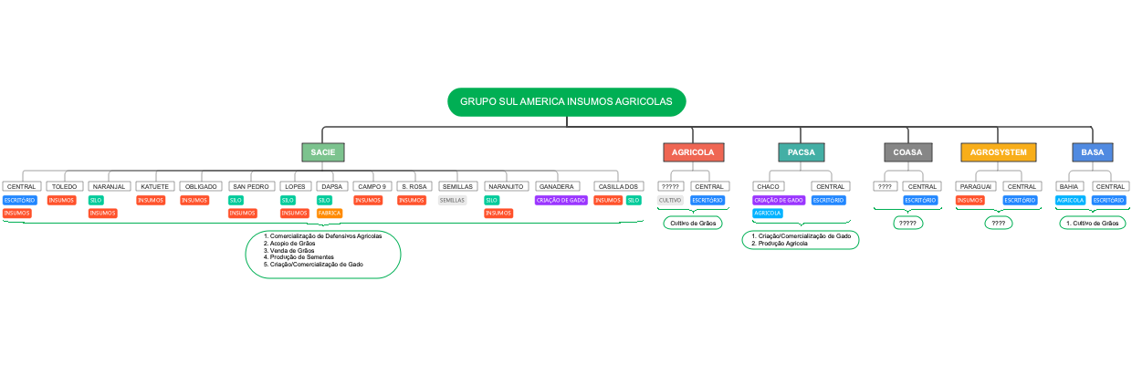 Estrutura Organizacional do Grupo Sul América Insumos Agrícolas