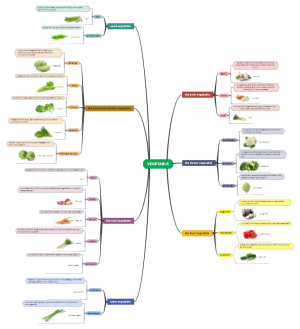 Mind Map Of Vegetable