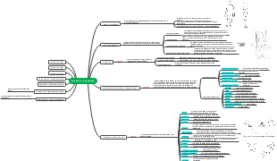 Estudio de la anatomía
