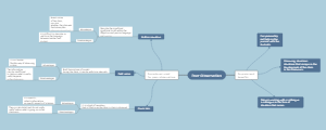 Mind Map Of Peer Observation