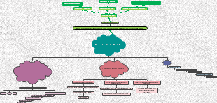 Contaminación Ambiental 
