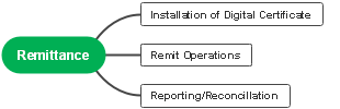 Streamlining Remittance Services