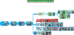 socolait