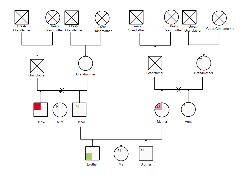 Genogram for Marriage and Family Relations