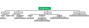 A Detailed Breakdown of Constitutional Officers