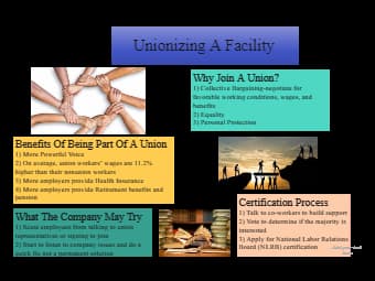 Infographic on Unionizing A Facility