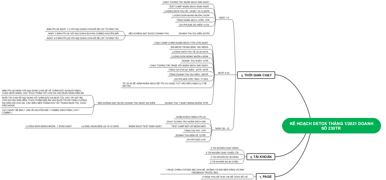 Kế hoạch detox tháng 1/2021 doanh số 230TR