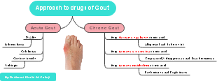 Approach to drugs of Gout